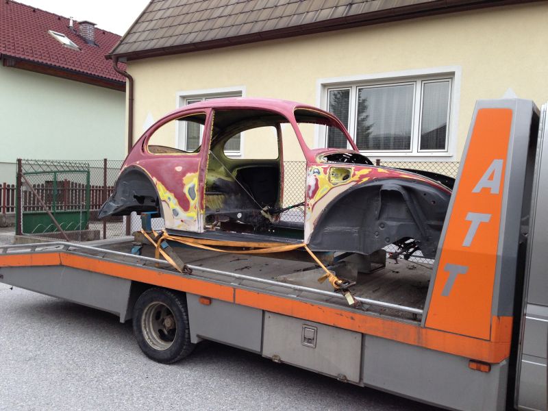 vw_kaefer_1302_03.jpg